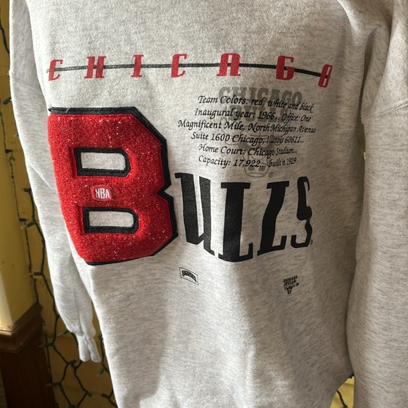 Bulls Nutmeg vintage bulls sweatshirt - Picture 4 of 6